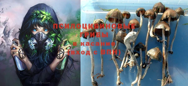 эйфоретик Нефтекумск